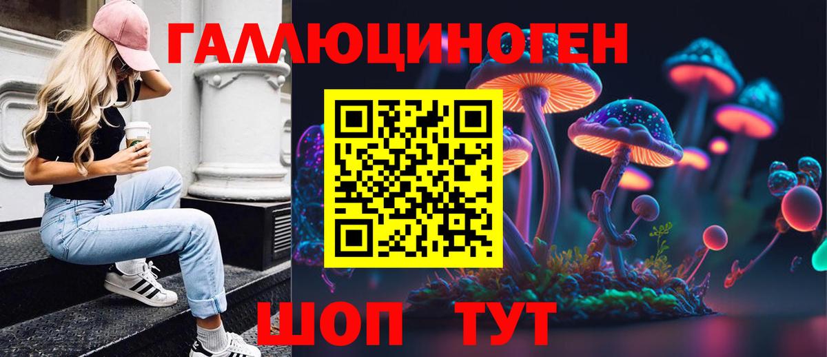 Северобайкальск  Галлюциногенные грибы GOLDEN TEACHER  Вход с VPN 